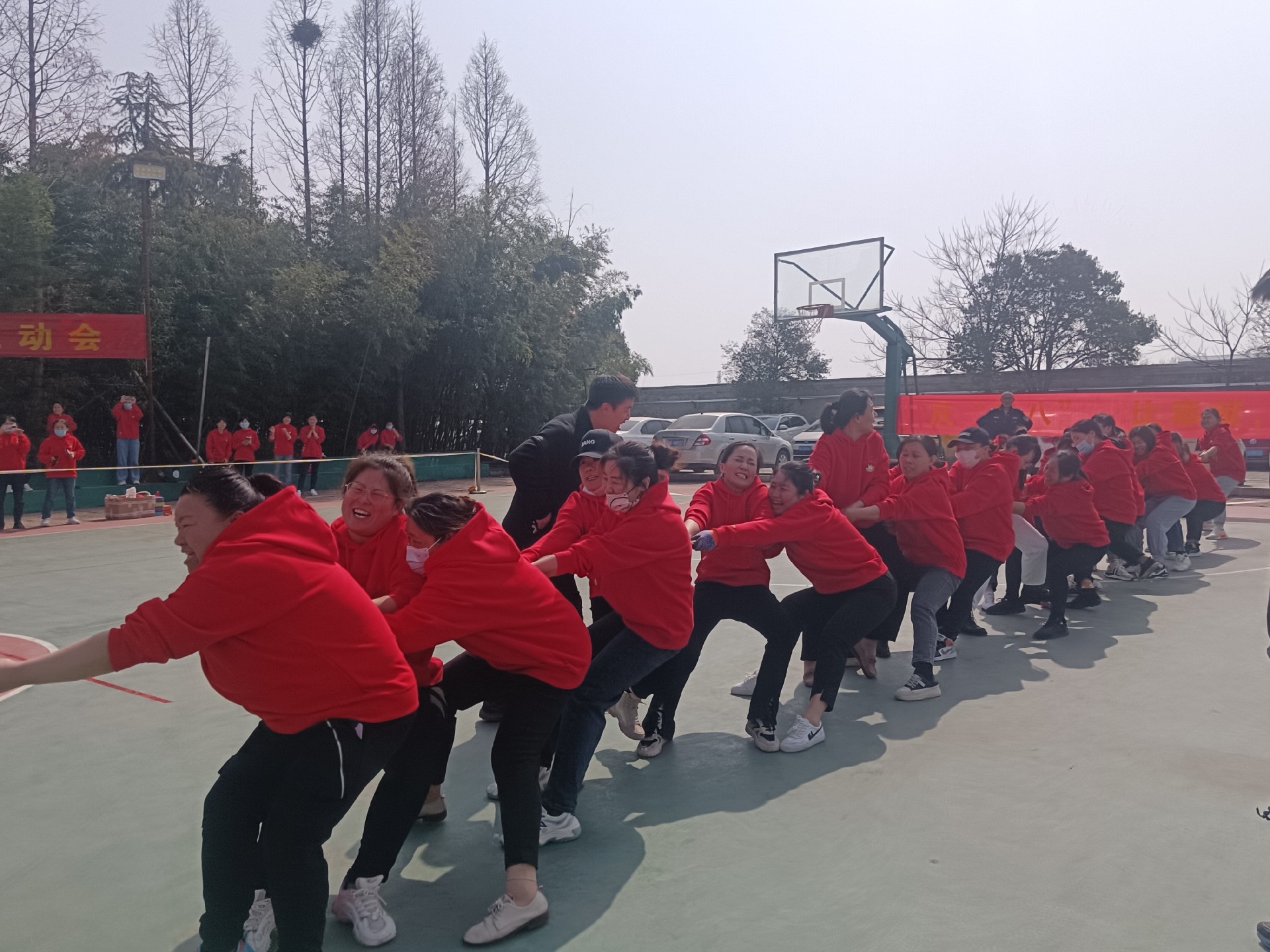 1682320147706668.jpg 1682320147706668.jpg